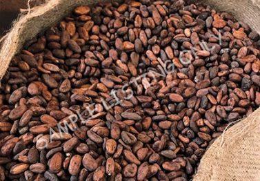 Tanzania Cocoa Beans